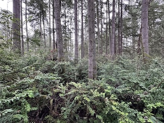 11023 Cascade Place, Anderson Island, WA 98303