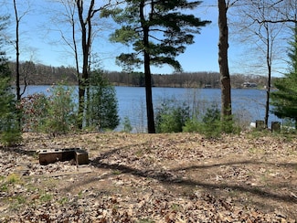 21249 Monroe Rd, Morley, MI 49336