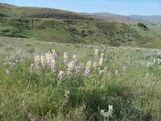 TBD Lot 18, Horseshoe Bend, ID 83629