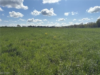 0 Brosius Rd, Garrettsville, OH 44231