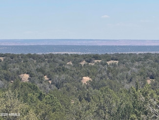 Lot 120B Red Sky Ranch -- Unit 120B, Saint Johns, AZ 85936
