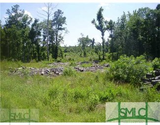 2 Hiltonia Rd, Millen, GA 30442