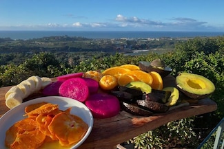 7401 Shepard Mesa Road Lot, Carpinteria, CA 93013