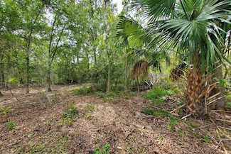 0 Holy Cow Rd, Polk City, FL 33868