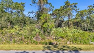 0 Quinlan St Unit MFRO6362891, Orlando, FL 32833