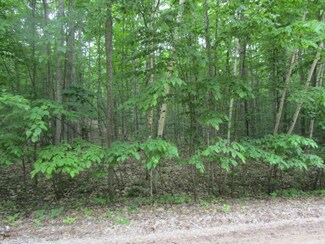 1234 W Munro Lake Dr, Levering, MI 49755