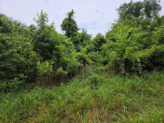 TBD An County Road 3471, Palestine, TX 75803