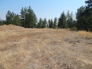 249014 W Kitt Rd, Reardan, WA 99029