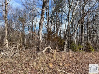 lot 183E Soapstone Rd, Ridgeway, VA 24148