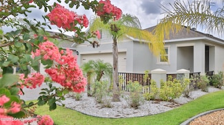349 Caryota Ct, New Smyrna Beach, FL 32168