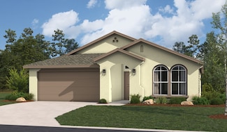 Sophora, Weslaco, TX 78599