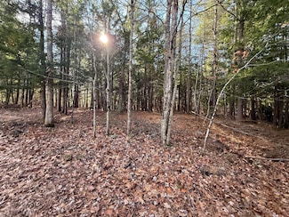 38-25.2 0 Row Mowry Ln, Newfield, ME 04076