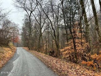 982 Butler Rd, Decatur, TN 37322