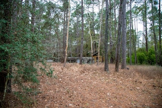 16438 Grand Flower, Plantersville, TX 77363
