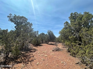 Lot #2 Power Line Rd Unit S, Heber, AZ 85928