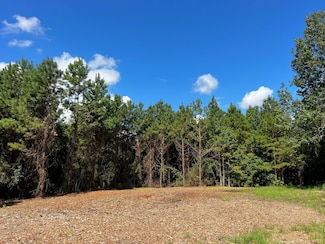 1 Eugene Walker Rd, Huntington, TX 75949