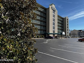 3215 N River Rd Unit STE 307, Pigeon Forge, TN 37863