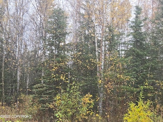 L1 B1 Brenden Blvd, Copper Center, AK 99573