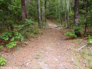 Lot 31 Cove Creek Rd, Quitman, AR 72131