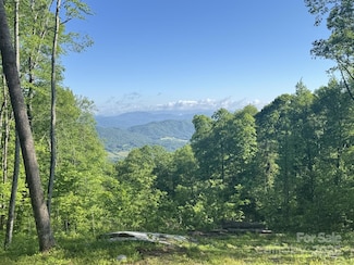 0000 W Garden Trail Unit Lot 65, Hendersonville, NC 28792