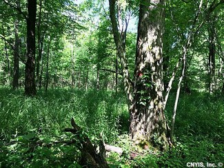 00 Cherry Creek Leon Rd, Cherry Creek, NY 14723