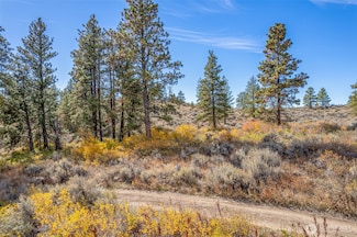403 Wild Turkey Rd, East Wenatchee, WA 98802
