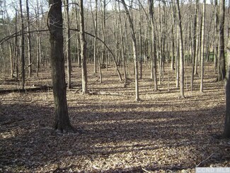 0 New Forge Rd Unit 90168, Taghkanic, NY 12521