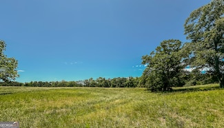 0 Farmer Rd Unit 10534640, Roopville, GA 30170