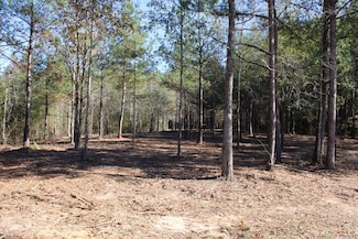0 Pete Field Rd Unit LotWP002, Sumrall, MS 39482