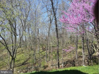 11 Stonewall Ct, Middleburg, VA 20117