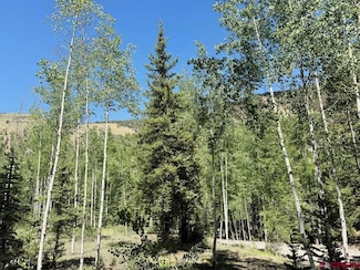 2621 Silver Coin Ln, Lake City, CO 81235