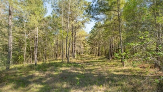 000 Bighorn Rd, Huntsville, TX 77358