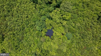 TBD Piney Grove Rd Unit 21, Alton, VA 24520