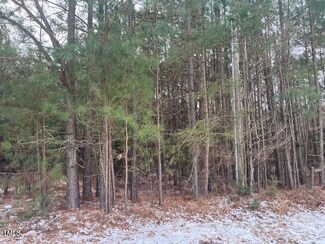 4108 Wilson Town Rd, Stovall, NC 27582