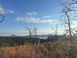 Lot 64 Waterview Dr, Roland, AR 72135