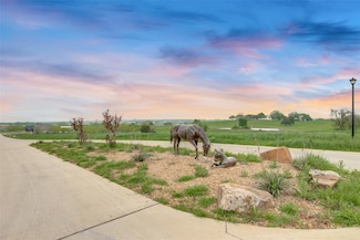725 Vest Ln, Pilot Point, TX 76258