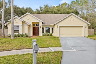 16104 Stowe Ct, Tampa, FL 33647
