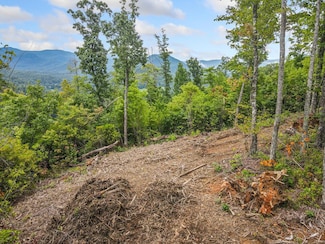 4.77 AC Tom Wheeler Rd, Hiawassee, GA 30546