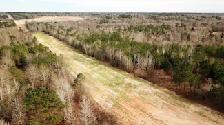 13015 County Road 217, Overton, TX 79323