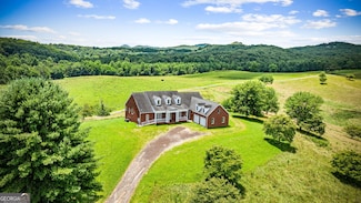 684 Windy Valley Farm Rd, Blue Ridge, GA 30513