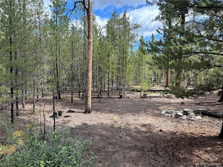 399 Fir Dr Unit 124, Leadville, CO 80461