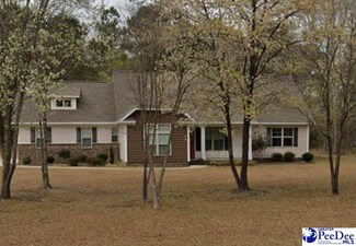 3325 James Turner Rd, Effingham, SC 29541