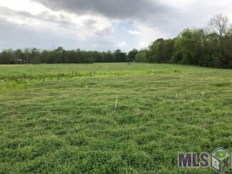1087 W Acadian Bayou Ln, Port Allen, LA 70767