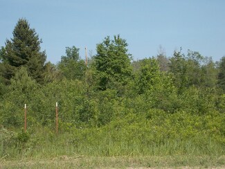 0 N Mackinaw Hwy Unit 9 ACRES 292361, Carp Lake, MI 49718