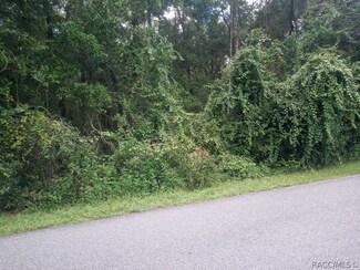 5435 S Luray Terrace, Inverness, FL 34452