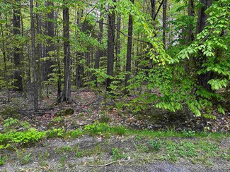 17 Oak Ln, Grantham, NH 03753