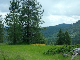 TBD Hoag Rd, Valley, WA 99181