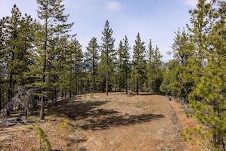0 Dog Creek Rd, John Day, OR 97845