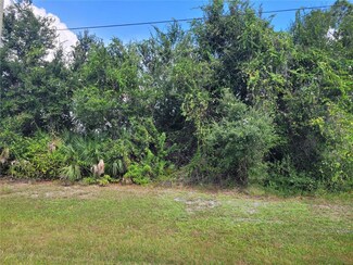 107 Antilla Dr, Rotonda Lakes, FL 33947