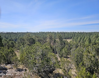 2955 E Lookout Ln Unit 337, Overgaard, AZ 85933